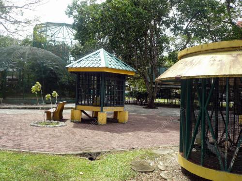 KD01_31052012_ZOO4
