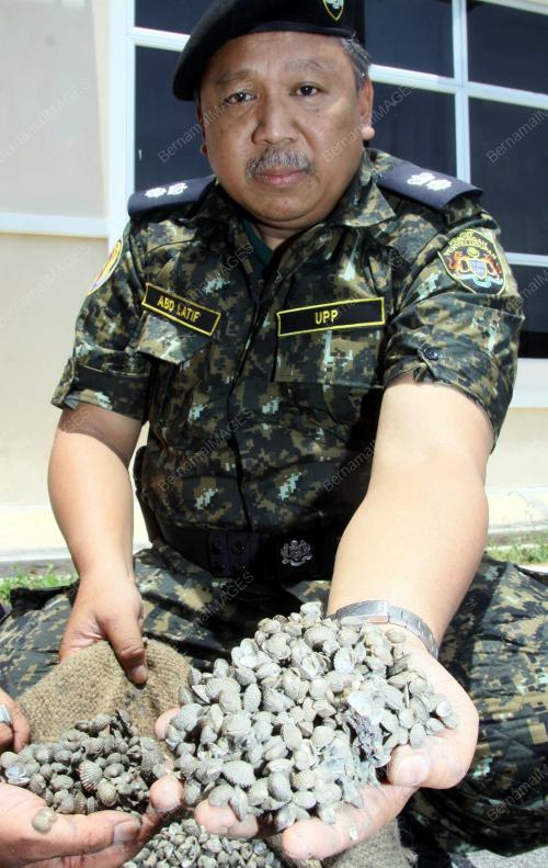 KD02_01042013_UPP_KERANG