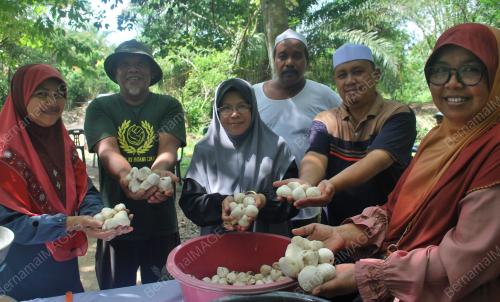 KD02_01052019_CENDAWAN