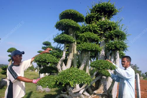 POKOK SENAI JANA PENDAPATAN