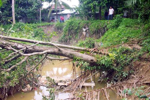 HAKISAN TEBING DI KAMPUNG KETEMBA