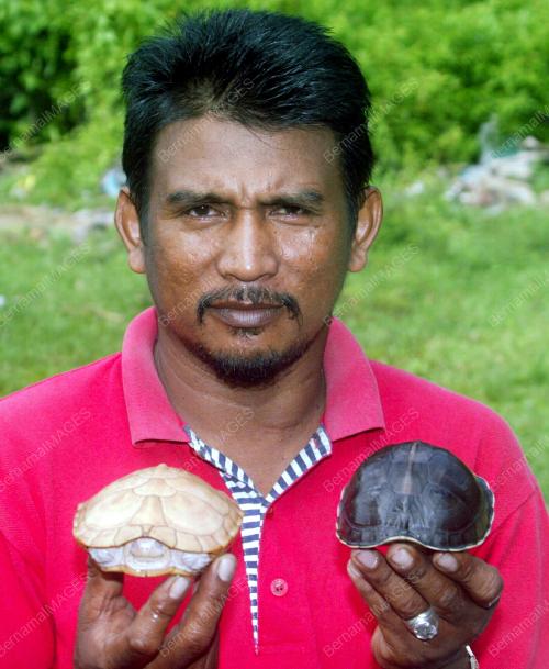 KURA-KURA PUTIH