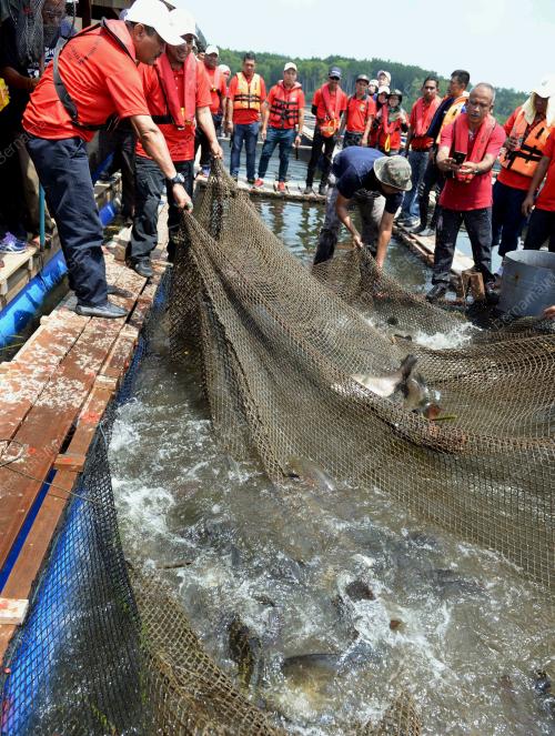 KD02_06082018_SUNGAI_BN2018080650