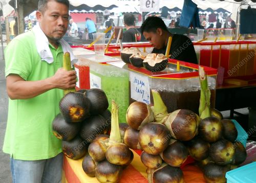 KD02_07062016_KELAPA