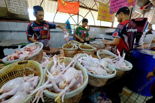 PERSIAPAN_AIDILADHA