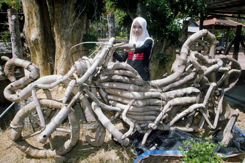 NURUL SHADILA MAD ROZI