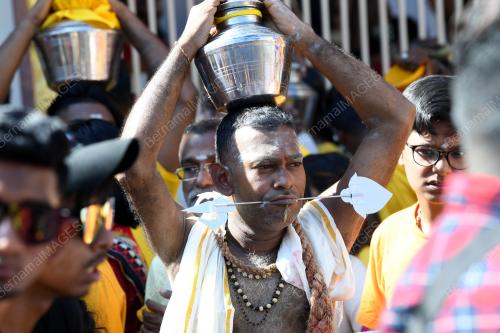 SAMBUTAN THAIPUSAM DI SUNGAI PETANI