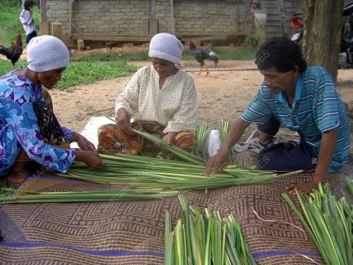 DAUN PALAS