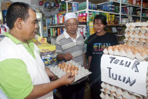 ZULKIFLI NYAK BAKAR