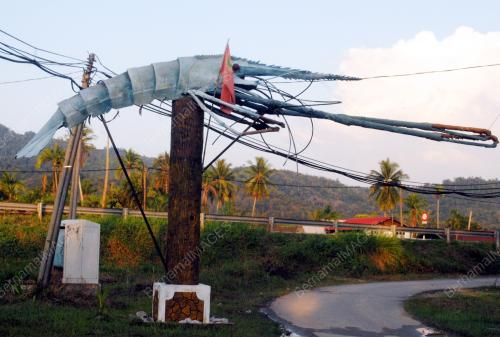 REPLIKA UDANG GALAH