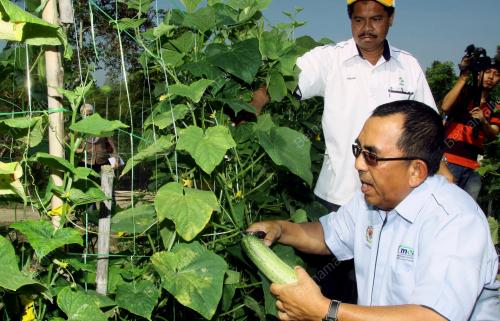 KD02_09032013_JOHARI_LADANG