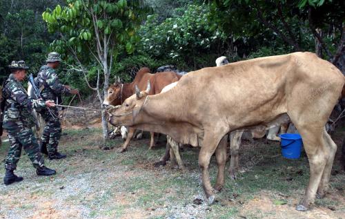 LEMBU SELUDUP