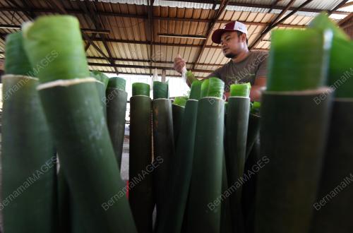LEMANG FLYOVER