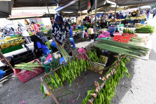 PASAR PAGI KAMPUNG BERJAYA