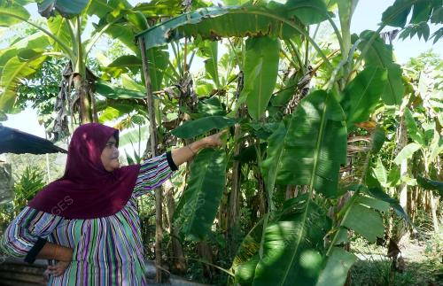 KD02_13022017_TEMBAK