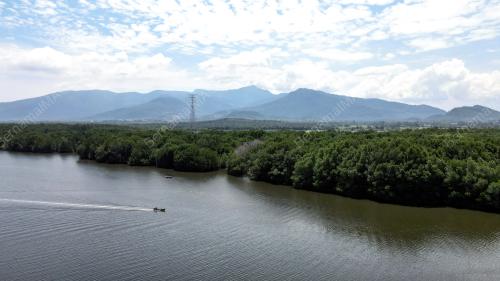 JABATAN HUTAN