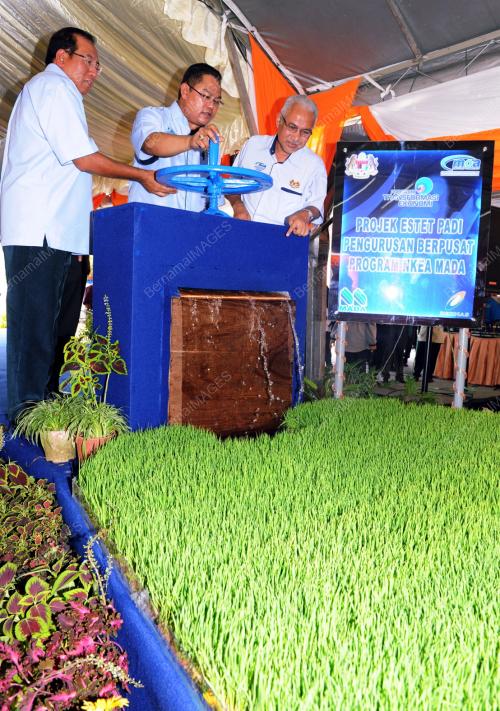 DATUK SERI NOH OMAR