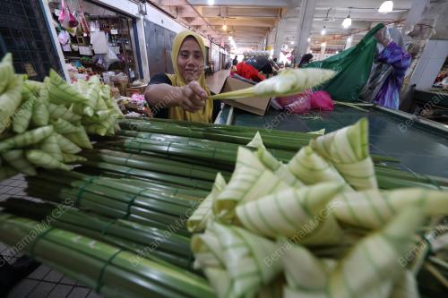 DAUN PALAS
