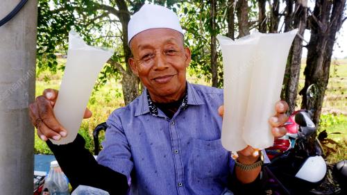 NIRA NIPAH PAK LONG
