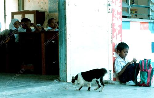 KUCING MENEMANI HADI