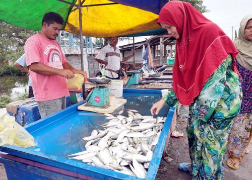 KD02_17012002_IKAN_KURANG
