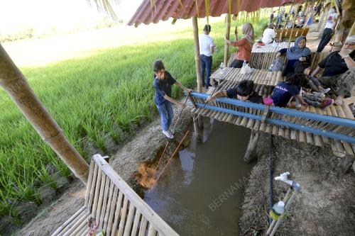 MEMANCING