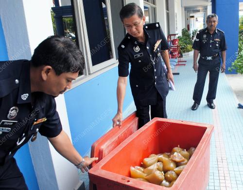 KD02_17072012_POLIS_KETUM