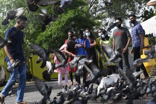 SAMBUTAN THAIPUSAM 2022