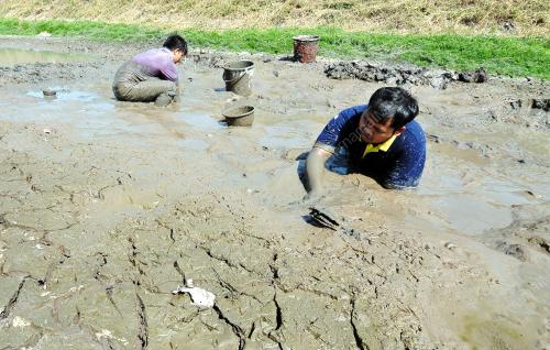 KD02_18032016_REZEKI_EL_NINO