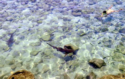 KD02_18092014_PULAU_PAYAR