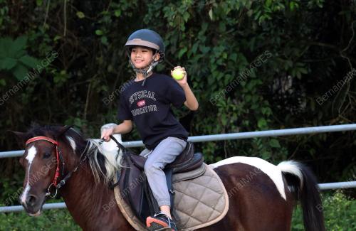 EQUINE RESORT,YAN