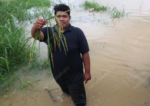 BANJIR DI JITRA
