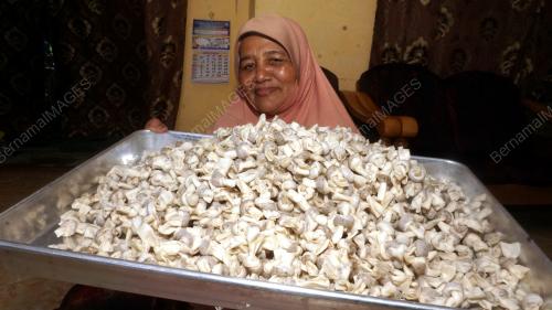 SIMPUL KASIH PKPB