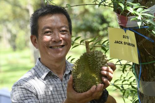 VARIETI DURIAN BARU