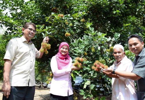 KD02_20072017_RAMBUTAN