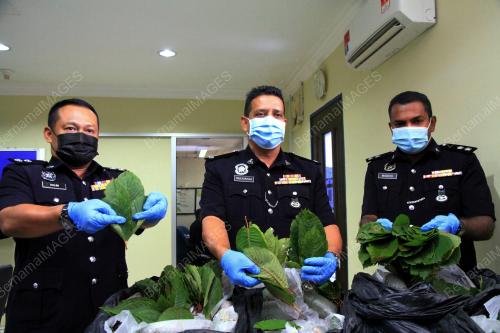 POLIS RAMPAS KETUM