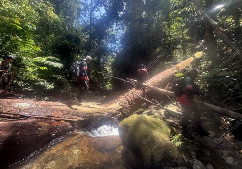 SAMBUTAN HARI HUTAN ANTARABANGSA 2024