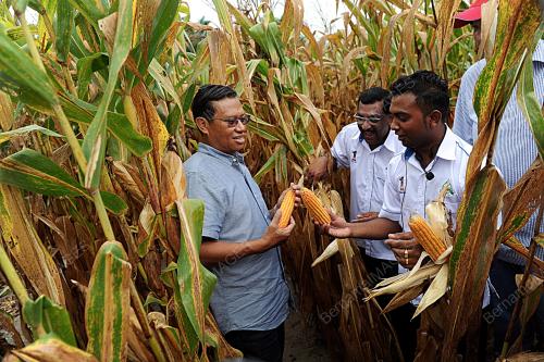 KD02_20112016_JAGUNG