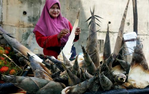 REBUNG BETING