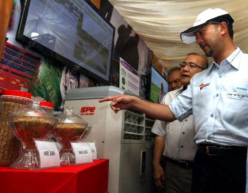 KD02_21102014_MUKHRIZ_PELADANG