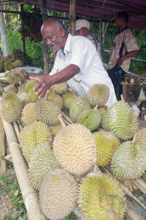 RAMLI YAAKOB