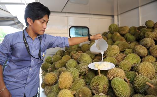 KD02_24062013_DURIAN