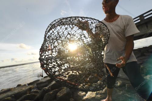 PENCARI KETAM BATU