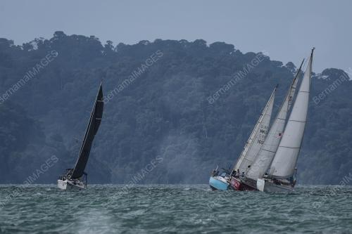 KEJOHANAN REGATTA