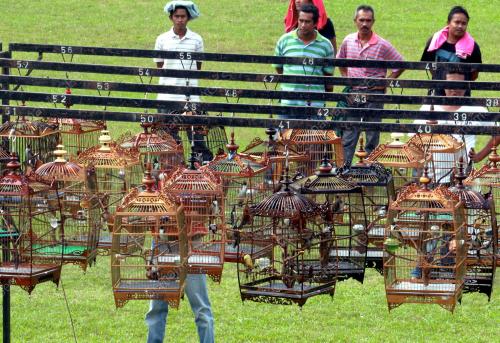 KD02_25122012_SUARA_BURUNG