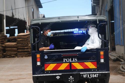 PKPD KILANG BESGRADE, POKOK SENA