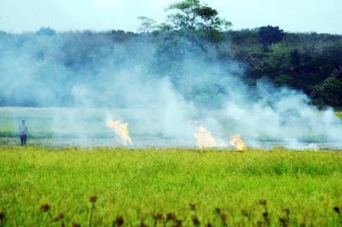 PEMBAKARAN TERBUKA