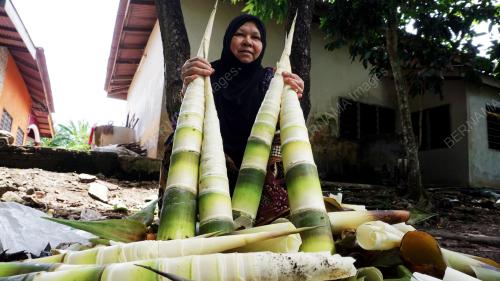 REBUNG BULUH LEMANG