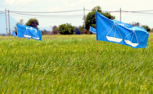 KD02_28022013_SAWAH_PADI