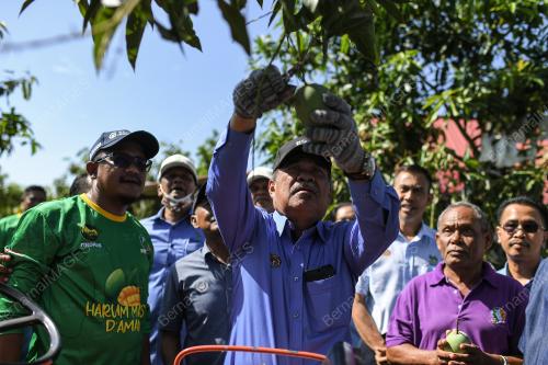 DATUK SERI MOHAMAD SABU